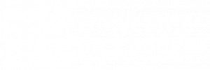 Image du logo blanc de l'IAE Limoges.