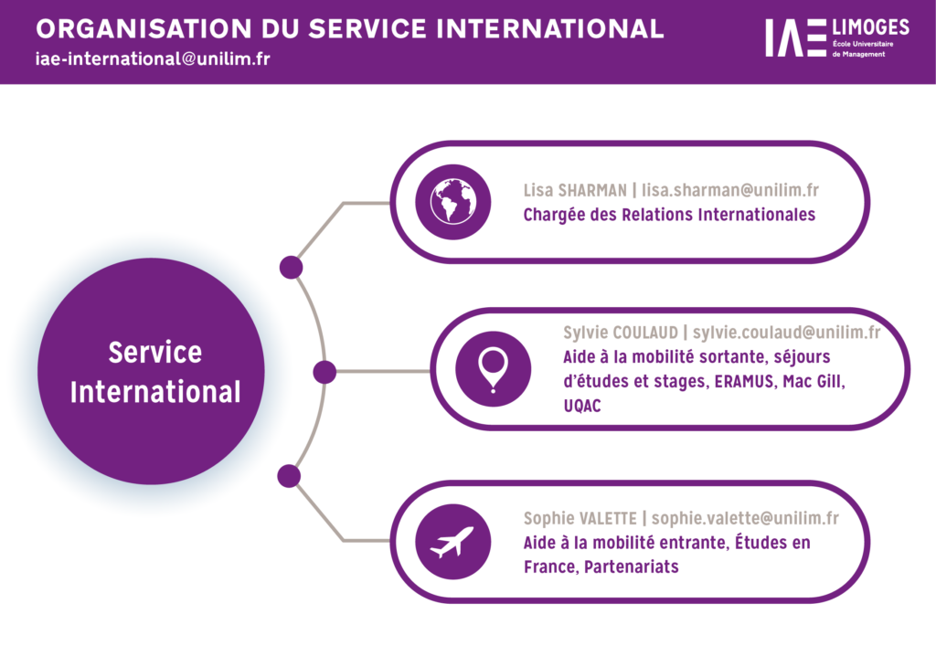 Image du schéma qui décrit l'organisation du service international de l'IAE Limoges.